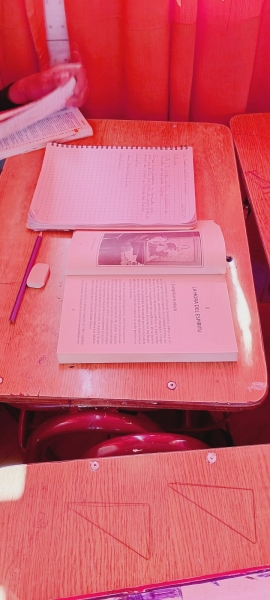 Vida y Obra de Nuestra Hermana Fundadora